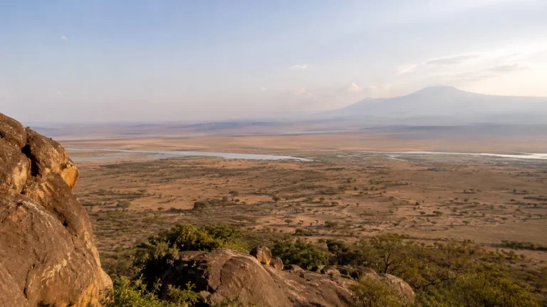 Elephants walking across Amboseli with Mount Kilimanjaro in the background