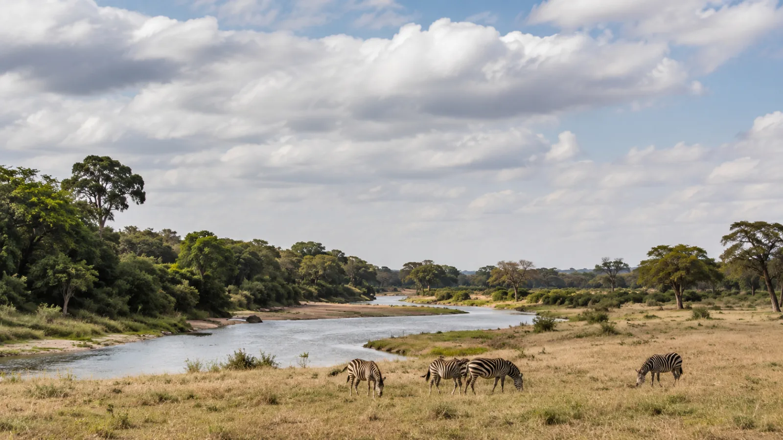 Map-style image showing East Africa safari route through Kenya, Tanzania, Rwanda, Uganda and Zanzibar