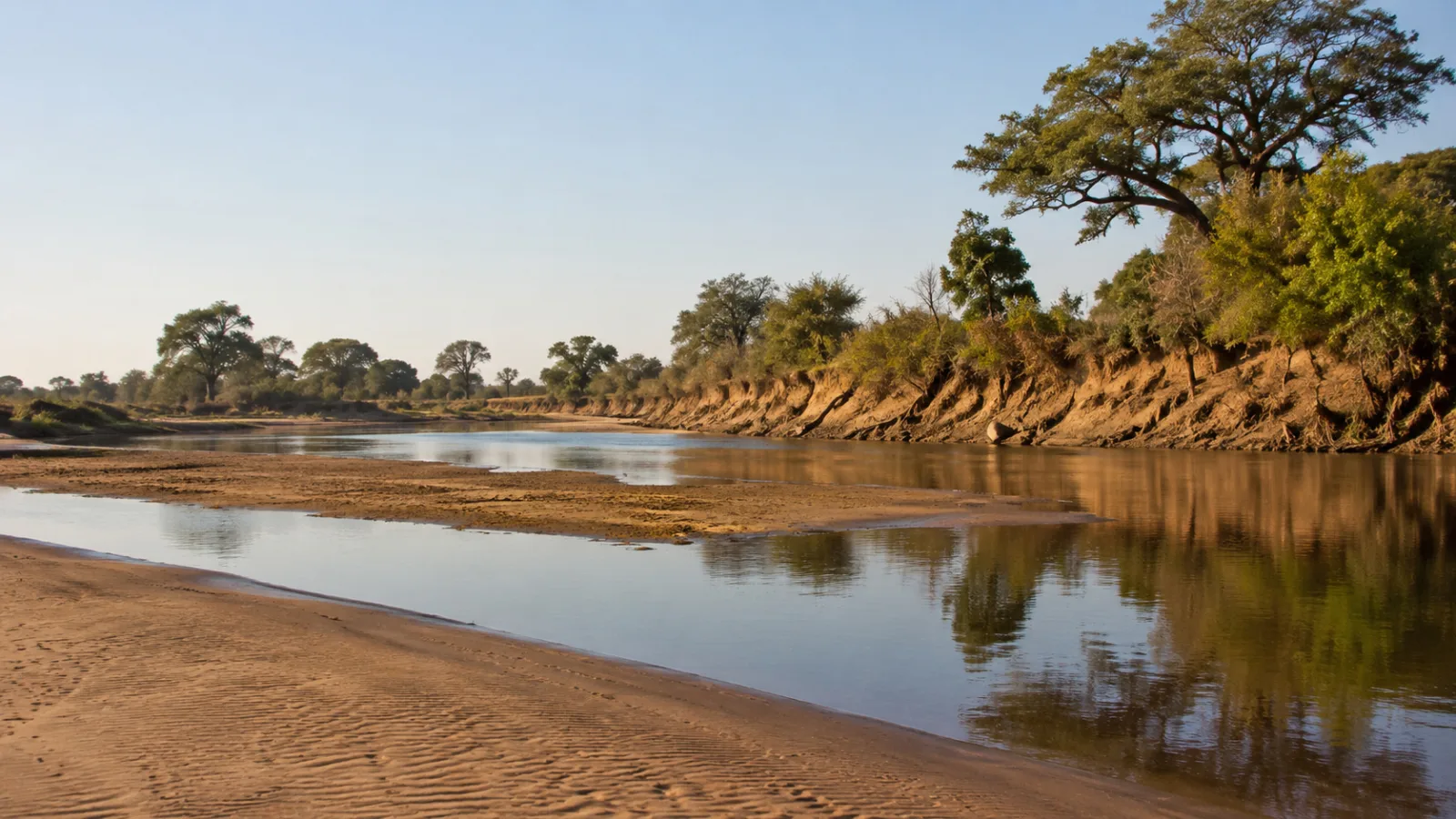 Ruaha National Park