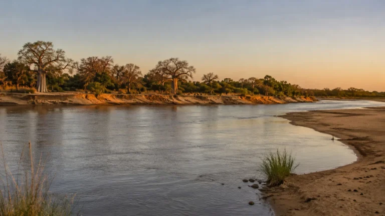 Great Ruaha River Riverside Viewpoint