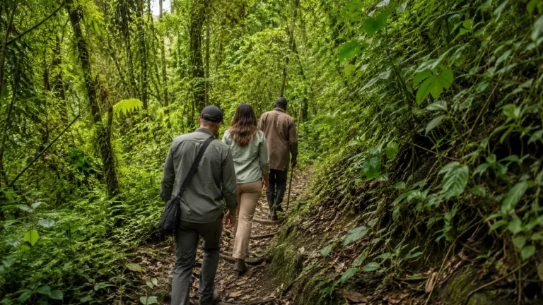 Batwa Experience Bwindi Guided Forest Trail