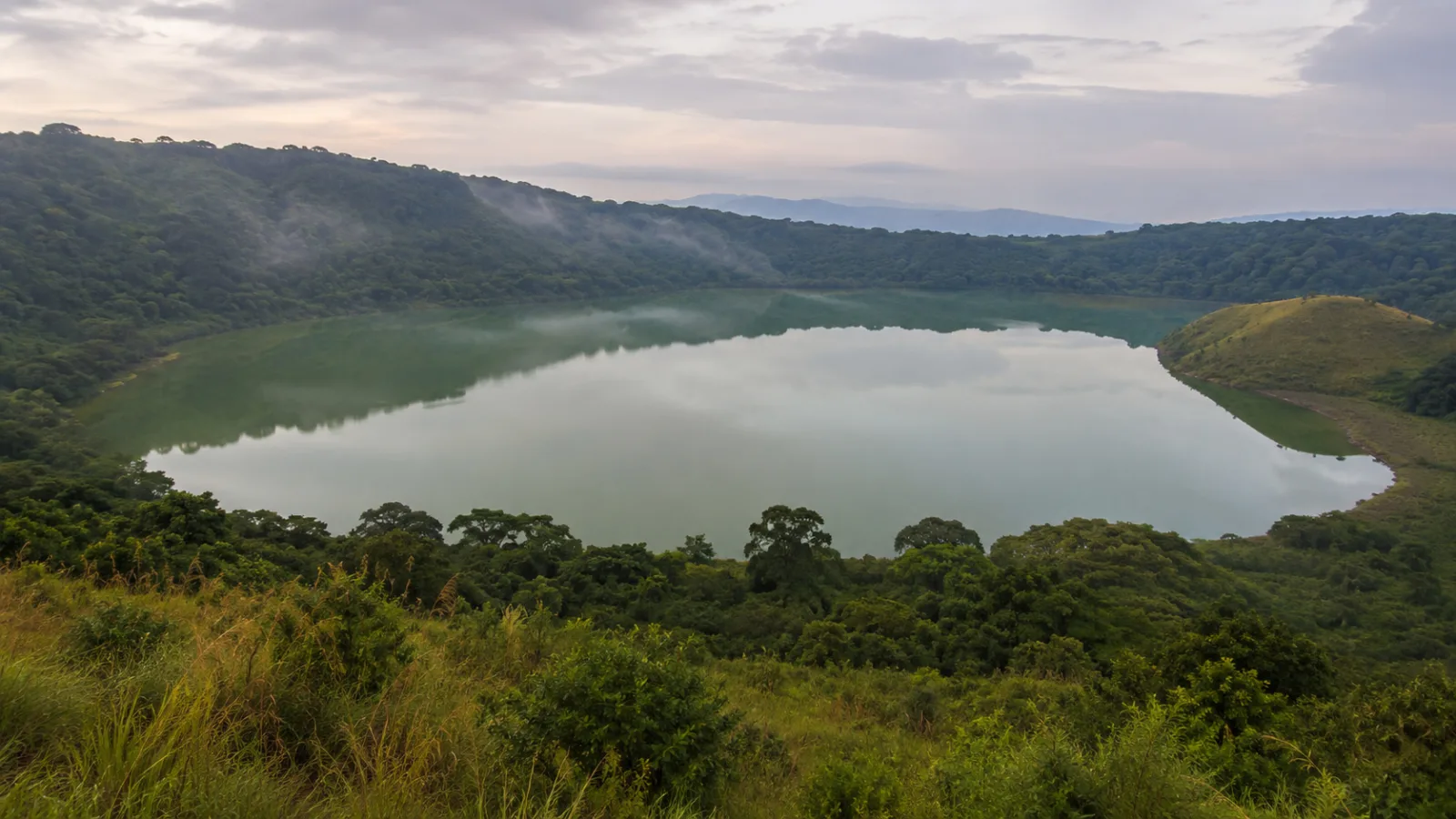 Kibale Forest National Park