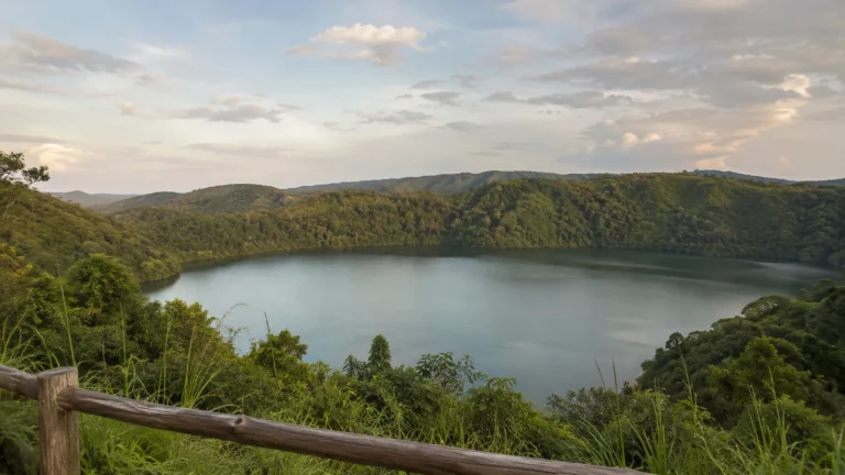 Kibale Crater Lakes Lake Viewpoint Detail