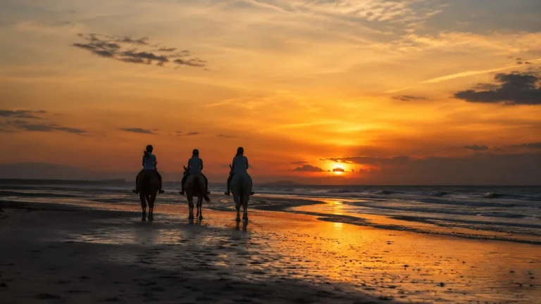 Beach Horseback Silhouette