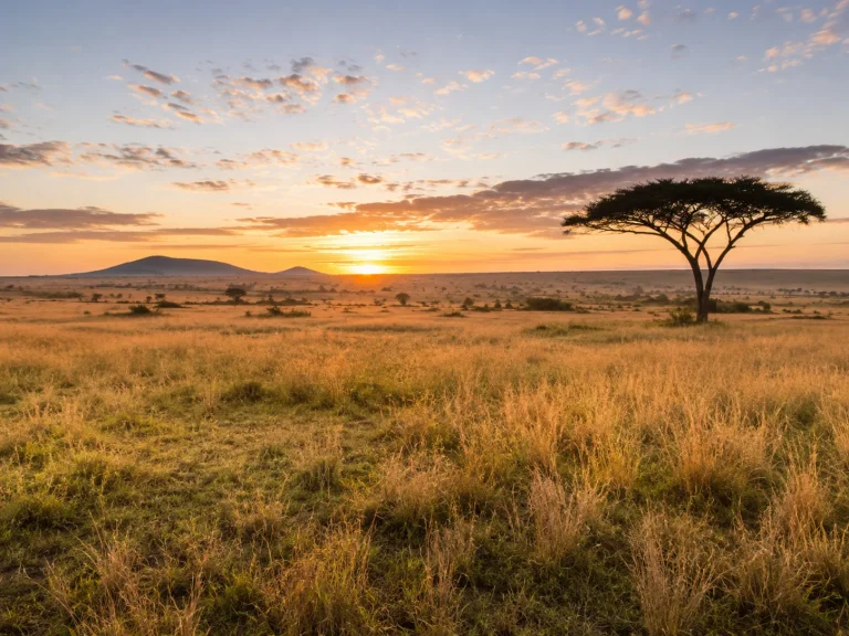 The Essence Of Kenya Safari