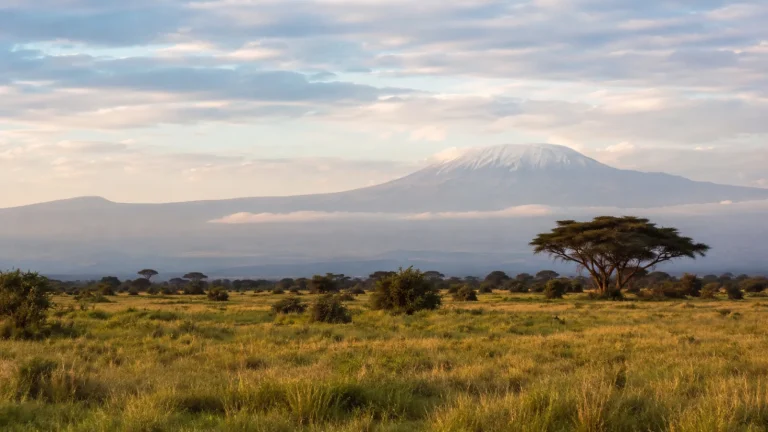 Kenya S Hidden Treasures Expedition