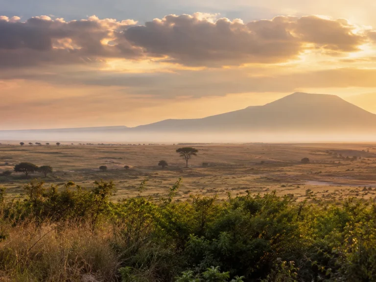 The Ultimate Kenya Wilderness Safari