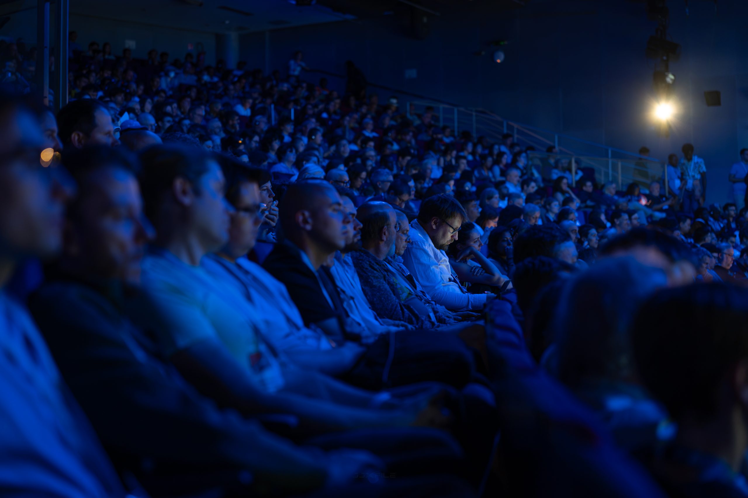 Delegates seated in a conference auditorium