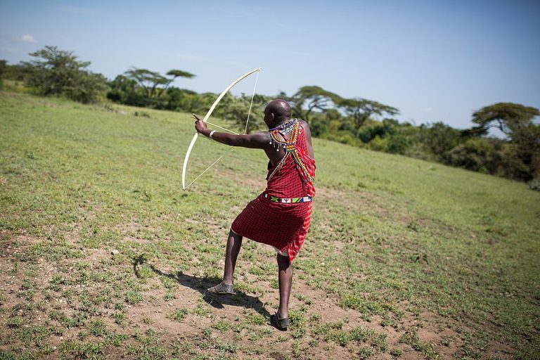 2015-06-15 Maasai guide shoots a traditional hunting bow and arrow during a walking safari, Ol Kinyei Conservancy in the Maasai Mara, Kenya 0042