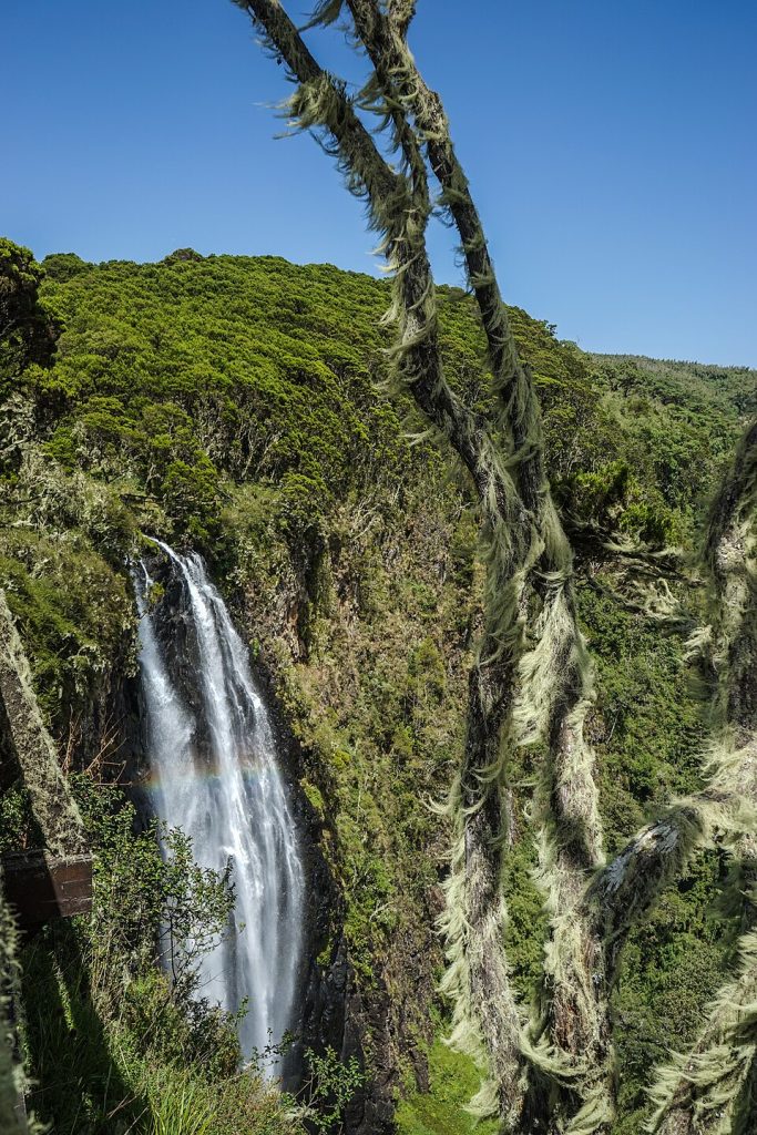 Aberdare National Park, Kenya (30714645774).jpg