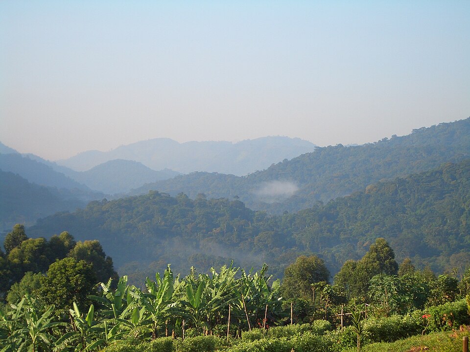 Bwindi Impenetrable National Park