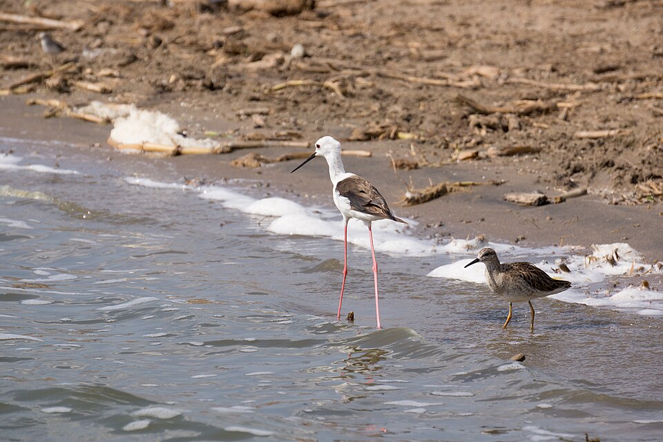Queen Elizabeth National Park