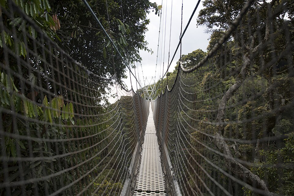 Nyungwe Forest National Park