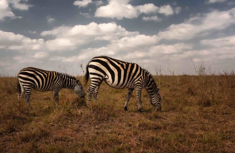 Kenya