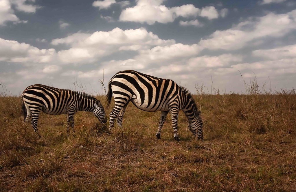 Kenya