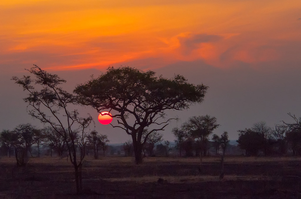 Kora National Park